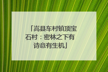 嵩县车村镇顶宝石村：密林之下有诗意有生机
