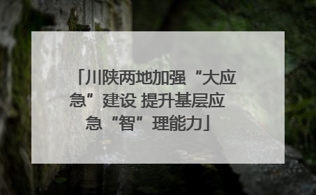川陕两地加强“大应急”建设 提升基层应急“智”理能力