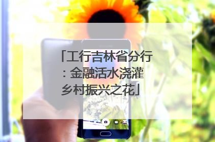 工行吉林省分行：金融活水浇灌 乡村振兴之花