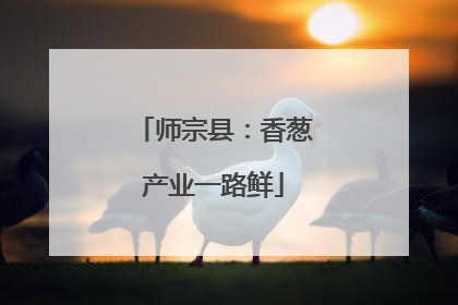 师宗县：香葱产业一路鲜