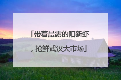 带着晨露的阳新虾，抢鲜武汉大市场