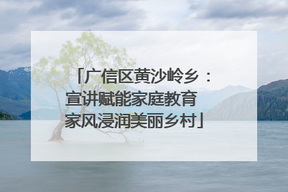 广信区黄沙岭乡：宣讲赋能家庭教育 家风浸润美丽乡村