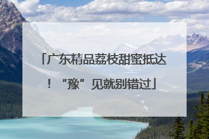 广东精品荔枝甜蜜抵达！“豫”见就别错过
