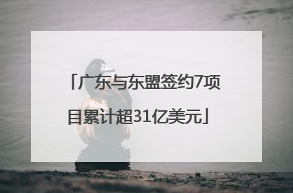 广东与东盟签约7项目累计超31亿美元