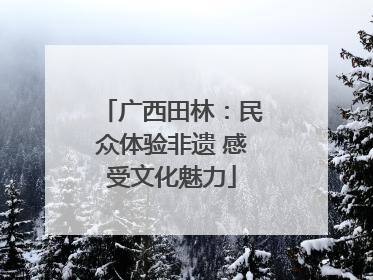 广西田林：民众体验非遗 感受文化魅力