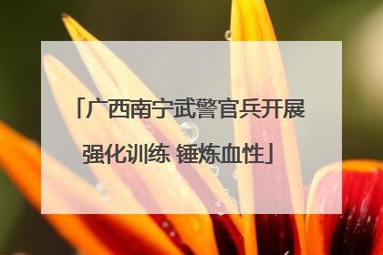 广西南宁武警官兵开展强化训练 锤炼血性