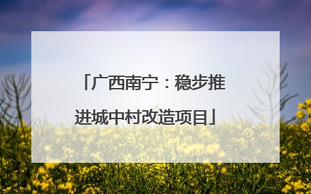 广西南宁：稳步推进城中村改造项目