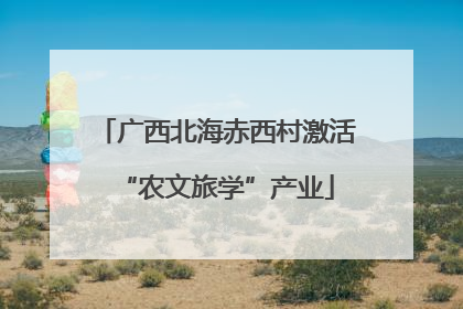 广西北海赤西村激活“农文旅学”产业