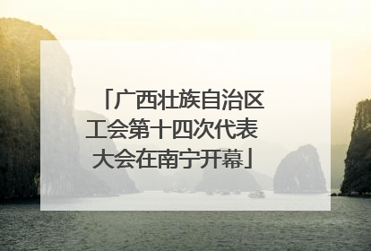广西壮族自治区工会第十四次代表大会在南宁开幕