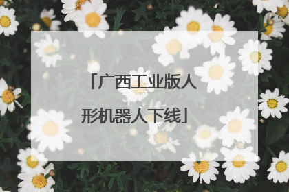 广西工业版人形机器人下线