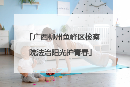 广西柳州鱼峰区检察院法治阳光护青春