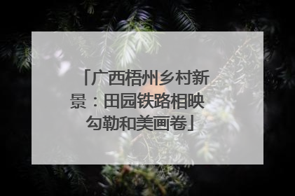 广西梧州乡村新景：田园铁路相映 勾勒和美画卷