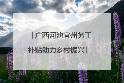 广西河池宜州务工补贴助力乡村振兴