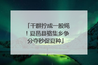干群拧成一股绳！夏邑县骆集乡争分夺秒促夏种
