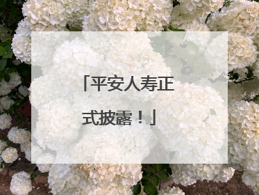 平安人寿正式披露！