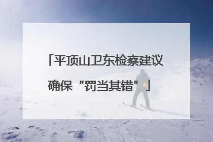 平顶山卫东检察建议确保“罚当其错”