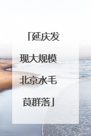 延庆发现大规模北京水毛茛群落