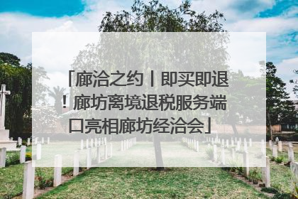廊洽之约丨即买即退！廊坊离境退税服务端口亮相廊坊经洽会
