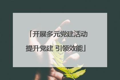 开展多元党建活动 提升党建 引领效能
