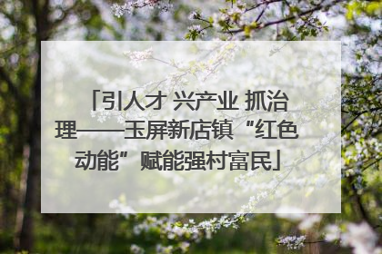 引人才 兴产业 抓治理——玉屏新店镇“红色动能”赋能强村富民