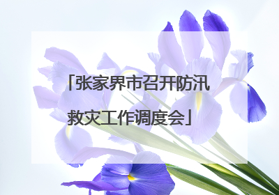 张家界市召开防汛救灾工作调度会