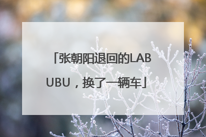 张朝阳退回的LABUBU，换了一辆车