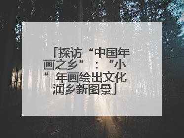 探访“中国年画之乡”：“小”年画绘出文化润乡新图景