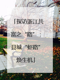 探访浙江共富之“路”：县城“虾路”焕生机