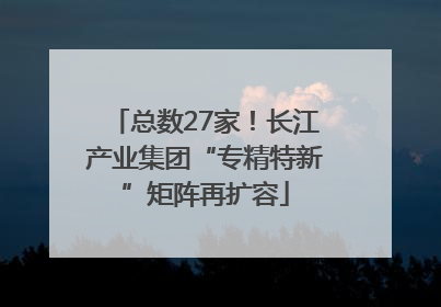 总数27家！长江产业集团“专精特新”矩阵再扩容