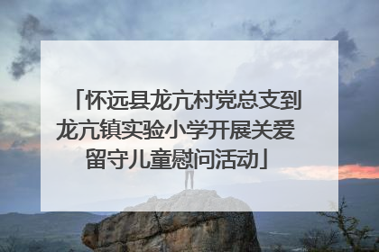 怀远县龙亢村党总支到龙亢镇实验小学开展关爱留守儿童慰问活动