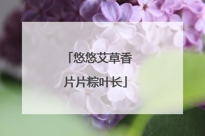 悠悠艾草香 片片粽叶长