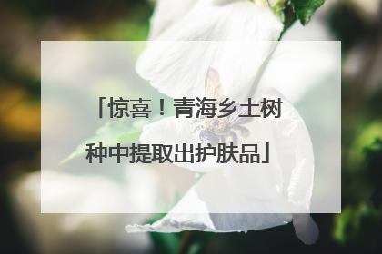 惊喜！青海乡土树种中提取出护肤品