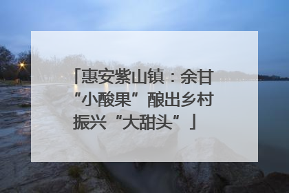 惠安紫山镇：余甘“小酸果”酿出乡村振兴“大甜头”