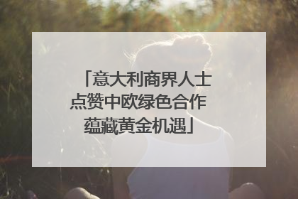 意大利商界人士点赞中欧绿色合作蕴藏黄金机遇