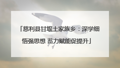 慈利县甘堰土家族乡：深学细悟强思想 蓄力赋能促提升