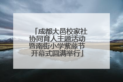 成都大邑校家社协同育人主题活动暨南街小学紫藤节开幕式圆满举行