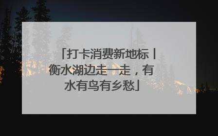 打卡消费新地标丨衡水湖边走一走，有水有鸟有乡愁