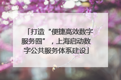 打造“便捷高效数字服务圈”，上海启动数字公共服务体系建设