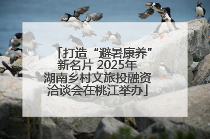 打造“避暑康养”新名片 2025年湖南乡村文旅投融资洽谈会在桃江举办