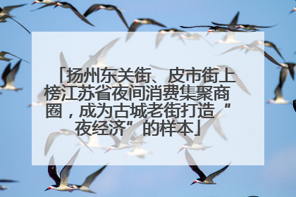 扬州东关街、皮市街上榜江苏省夜间消费集聚商圈，成为古城老街打造“夜经济”的样本
