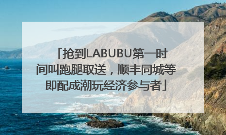 抢到LABUBU第一时间叫跑腿取送，顺丰同城等即配成潮玩经济参与者
