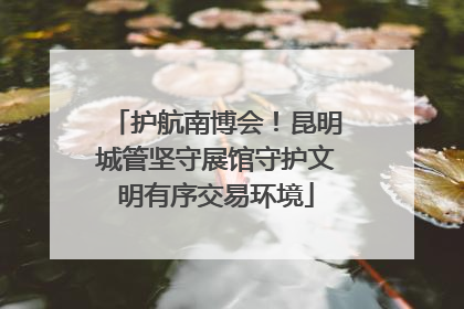 护航南博会！昆明城管坚守展馆守护文明有序交易环境