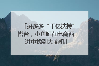 拼多多“千亿扶持”搭台，小鱼缸在电商西进中找到大商机