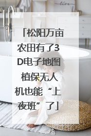 松阳万亩农田有了3D电子地图 植保无人机也能“上夜班”了