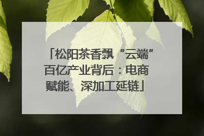 松阳茶香飘“云端” 百亿产业背后：电商赋能、深加工延链