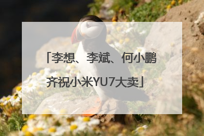 李想、李斌、何小鹏齐祝小米YU7大卖