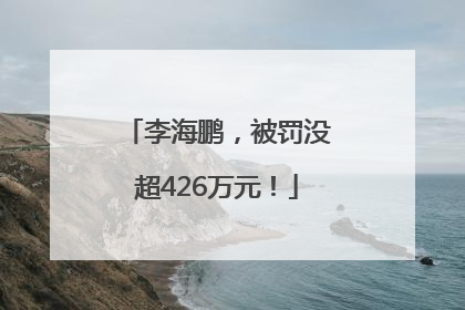 李海鹏，被罚没超426万元！