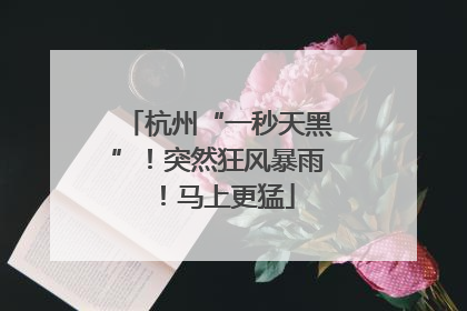 杭州“一秒天黑”！突然狂风暴雨！马上更猛