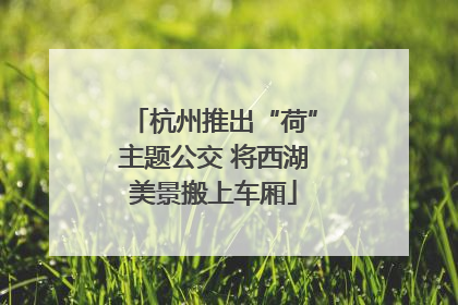 杭州推出“荷”主题公交 将西湖美景搬上车厢