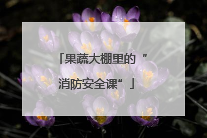 果蔬大棚里的“消防安全课”